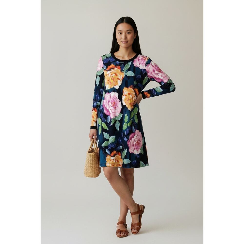 Eliza J Watercolor Floral Long Sleeve Shift Dress Size 4